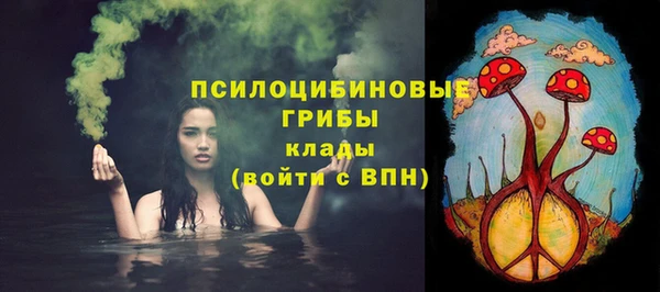 стаф Алексин
