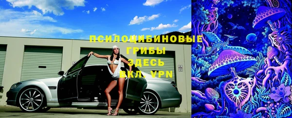 трава Медногорск